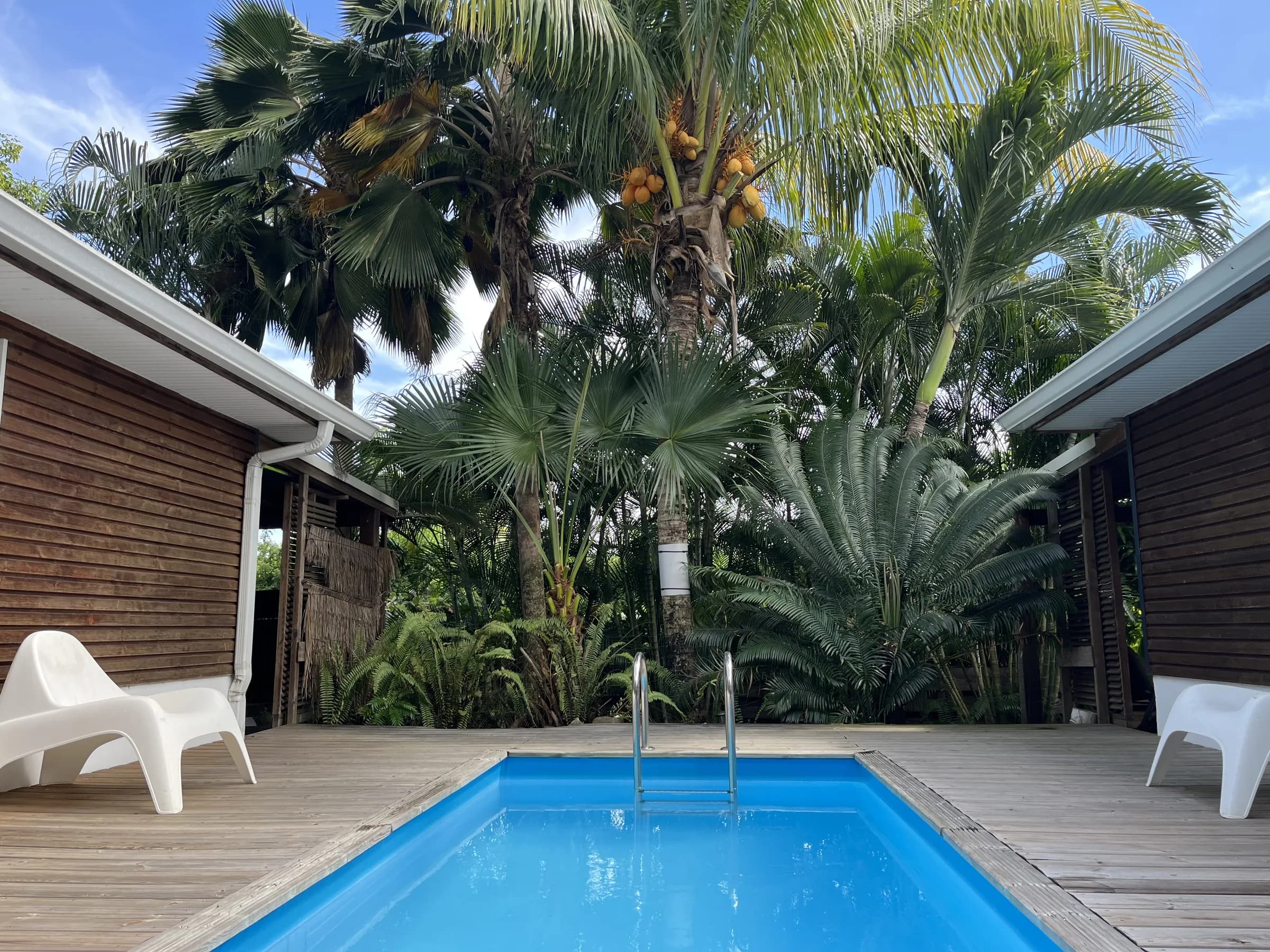 Les lodges Papayer et Manguier et leur piscine, sous les palmiers du jardin de Cap Lodge