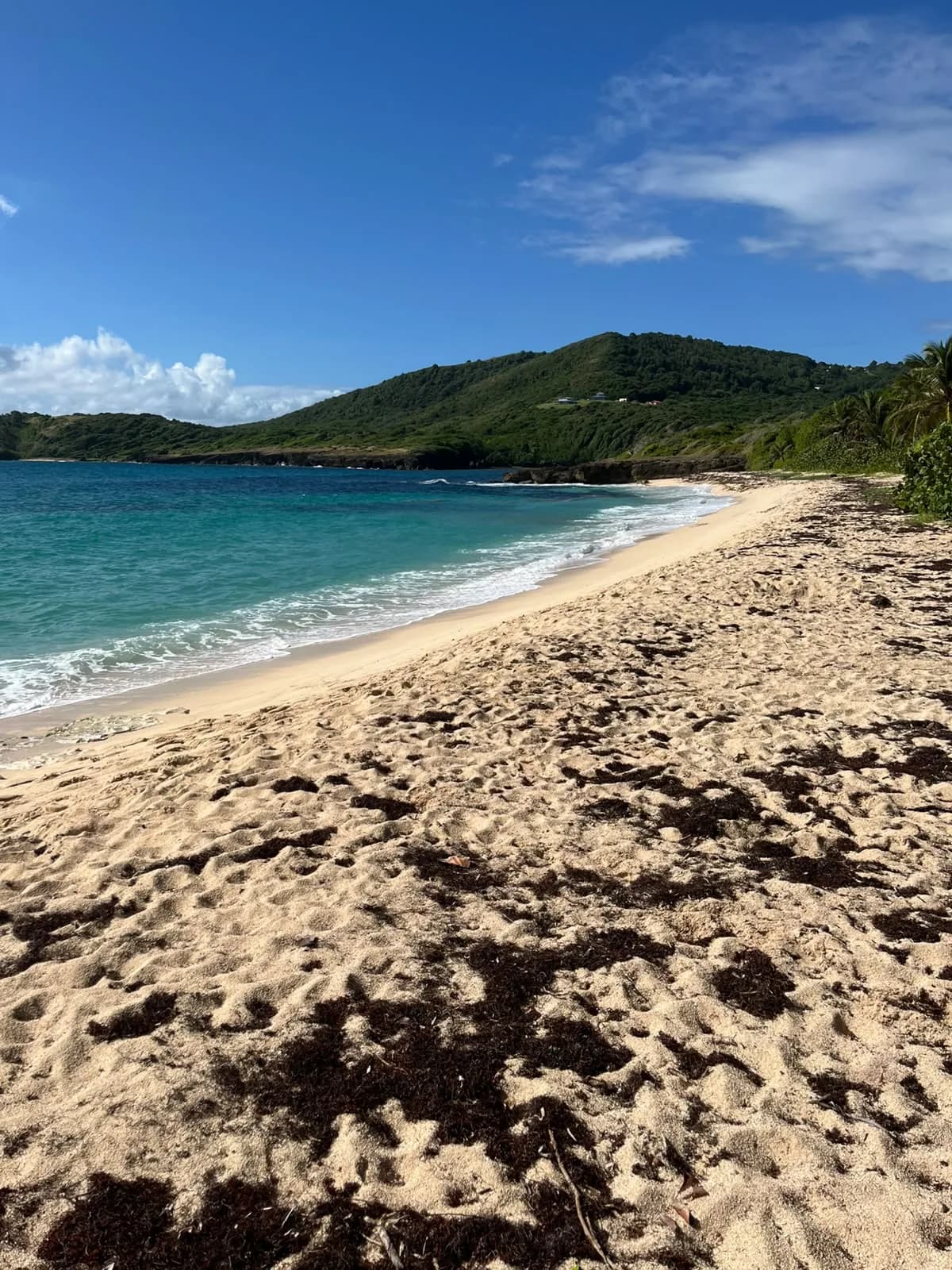 Plage sauvage de la côte atlantique, face aux collines