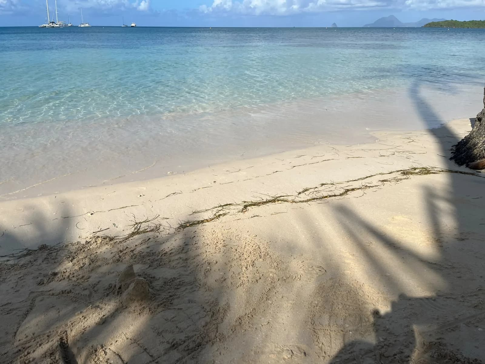 Sable blanc et ombre des cocotiers sur une plage du sud